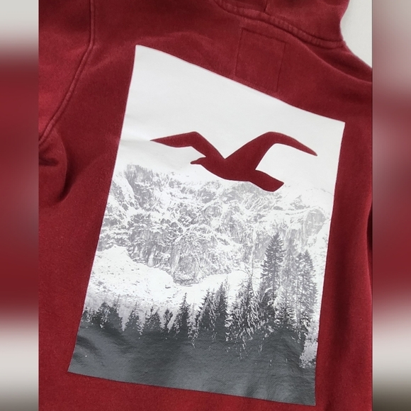 Hollister Other - Hollister Maroon Pullover Hoodie Mountain Landscape Graphic. Medium.